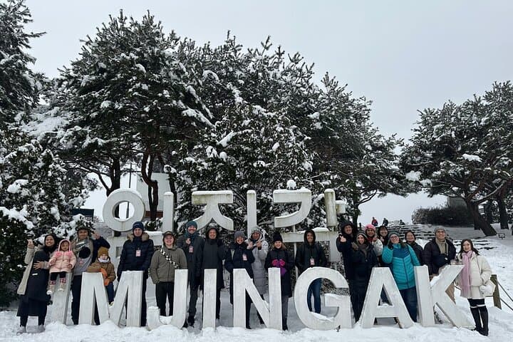 Signature DMZ Tour from Seoul: Defector Talk, 3rd Tunnel & Suspension Bridge photo 5