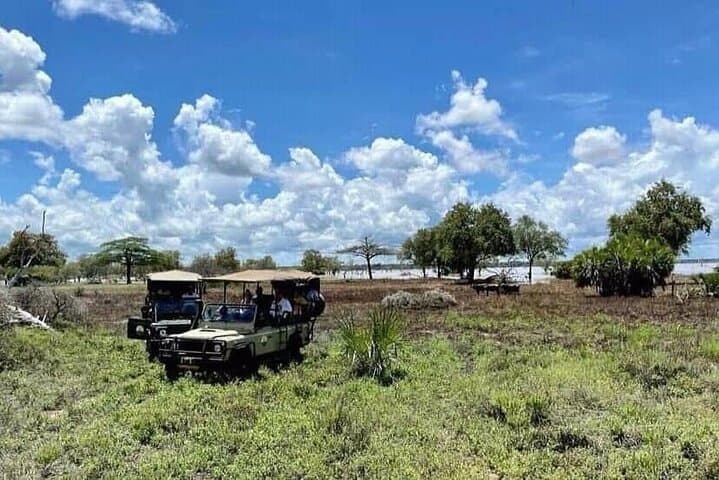Day Safari to Mikumi National Park from Zanzibar — Flights, Game Drive & Wildlife photo 6