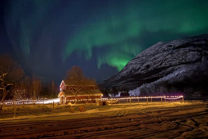 Arctic Farm Evenings: Northern Lights, Campfire & Lavvu in Kviby photo 3