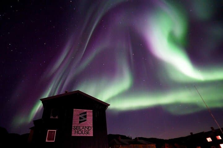 Arctic Whale-Watching Camp on Seiland: 4-Night Altafjord Wildlife & Northern Lights Escape photo 2