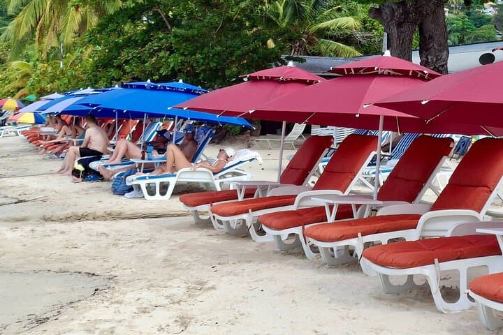 Grenada Shore Excursion: Annandale Waterfalls, Fort Frederick & Grand Anse Beach photo 6