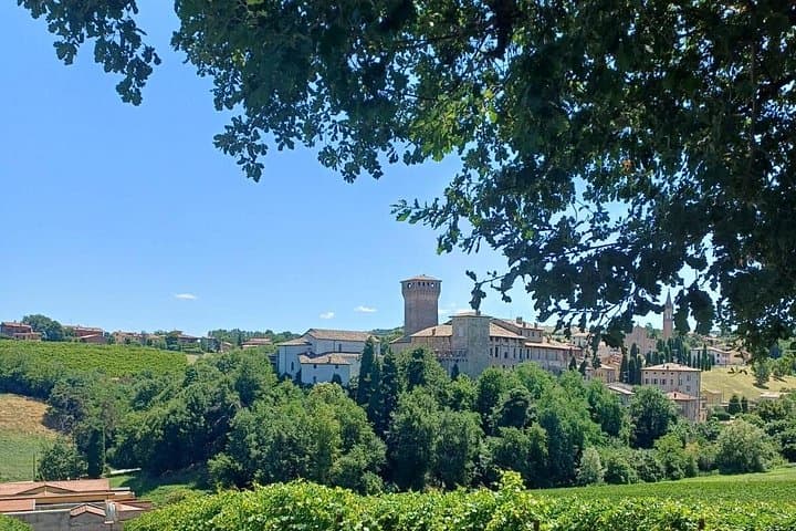 E-Bike Wine Tasting in the Modena Hills: Lambrusco & Vineyard Ride photo 3