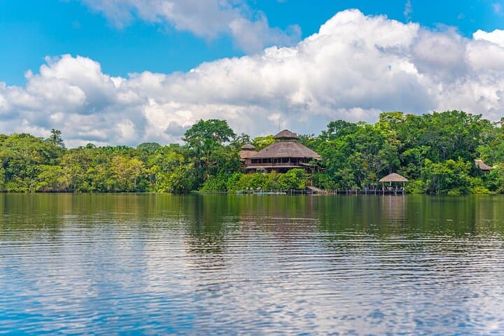 Amazon Pacaya Samiria Full-Day Private Shore Tour from Iquitos photo 6