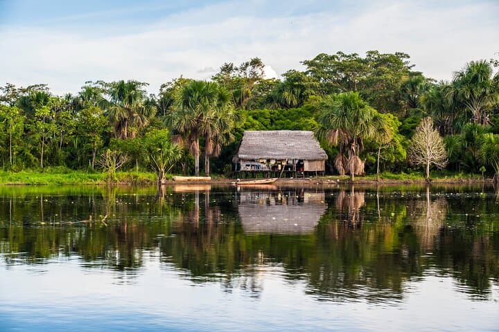 Amazon Pacaya Samiria Full-Day Private Shore Tour from Iquitos photo 2