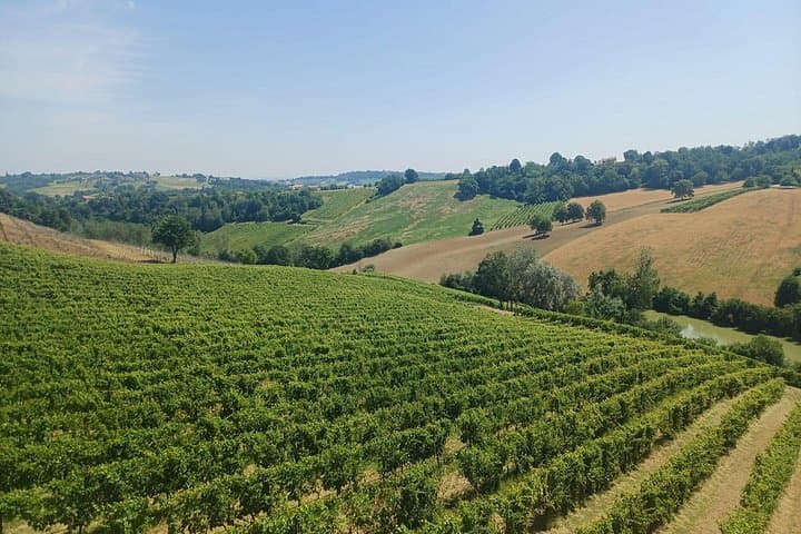 E-Bike Wine Tasting in the Modena Hills: Lambrusco & Vineyard Ride photo 5