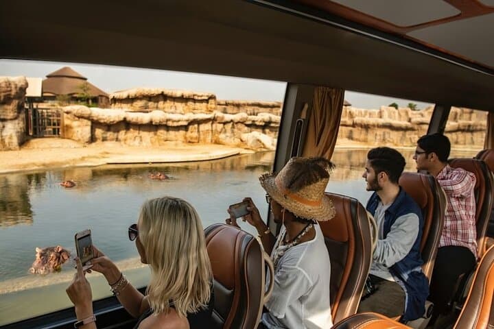 Dubai Safari Park: Ultimate Family Safari Experience in Dubai photo 5