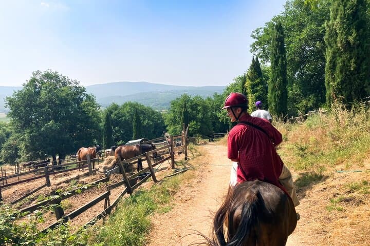 Ride Through the Chianti Hills: A Tuscan Horseback Experience photo 4