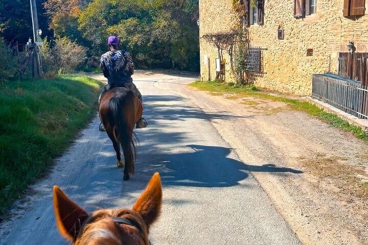 Ride Through the Chianti Hills: A Tuscan Horseback Experience photo 5