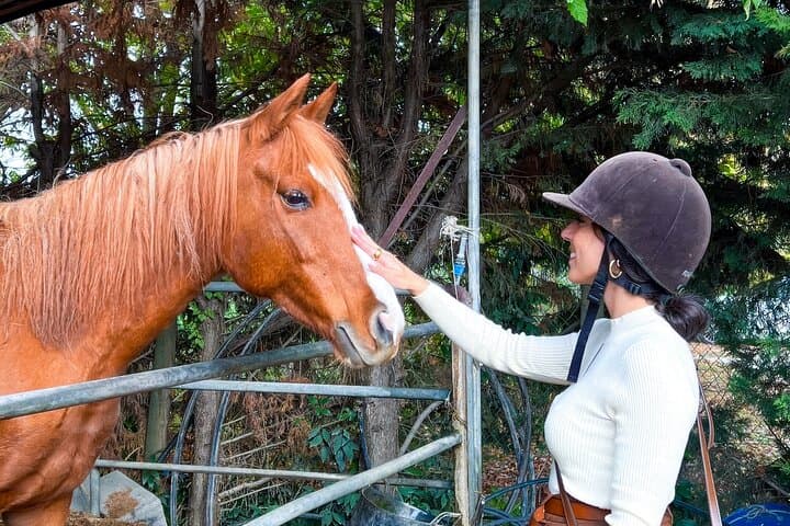 Ride Through the Chianti Hills: A Tuscan Horseback Experience photo 3