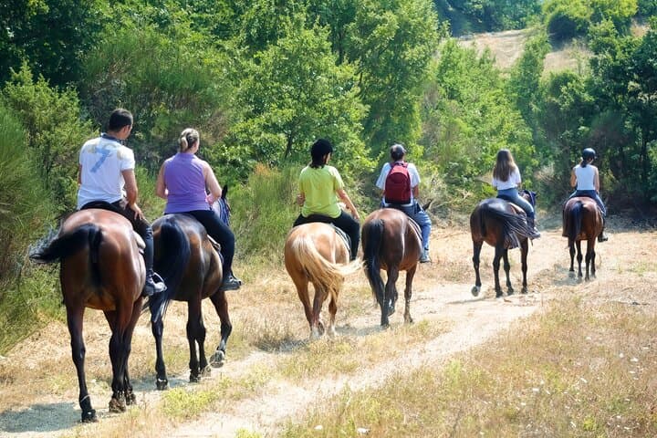 Ride Through the Chianti Hills: A Tuscan Horseback Experience photo 2