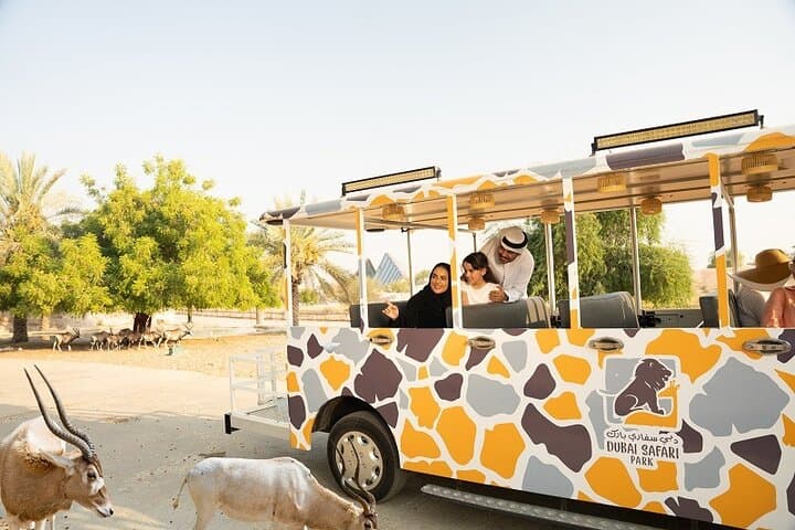 Dubai Safari Park: Ultimate Family Safari Experience in Dubai photo 4