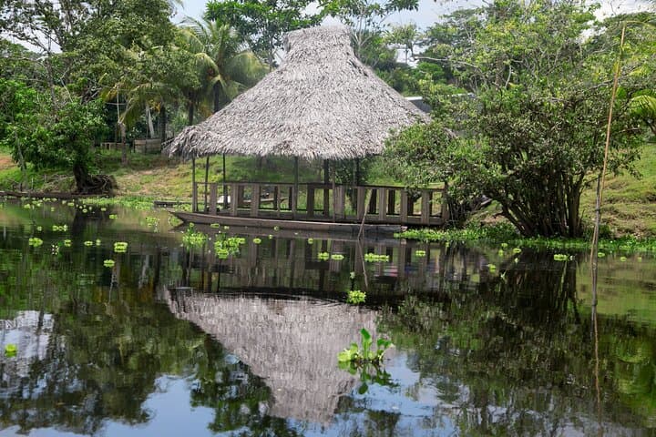 Isla Bonita Discovery: Full-Day Private Shore Tour from Iquitos photo 6