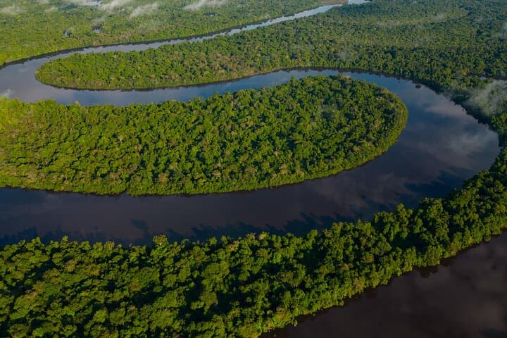 Isla Bonita Discovery: Full-Day Private Shore Tour from Iquitos
