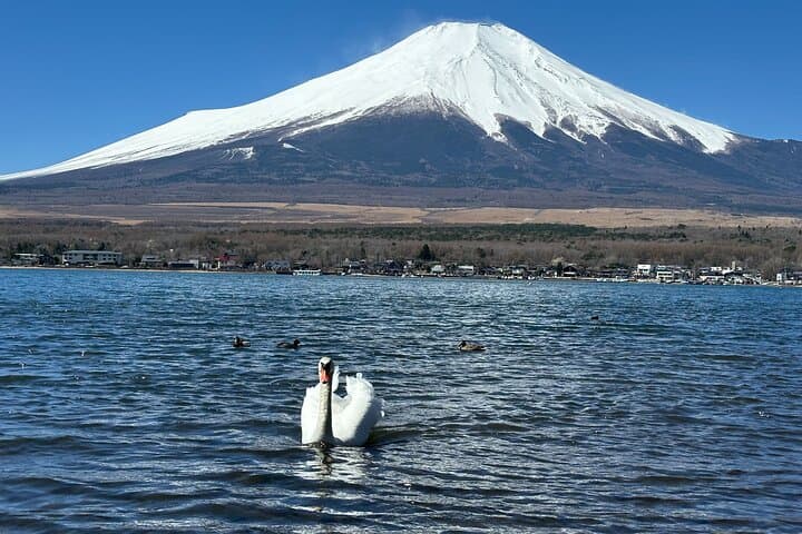 Photographing Mt. Fuji: Full-Day Lake Kawaguchi & Oshino Hakkai Scenic Tour from Tokyo photo 3