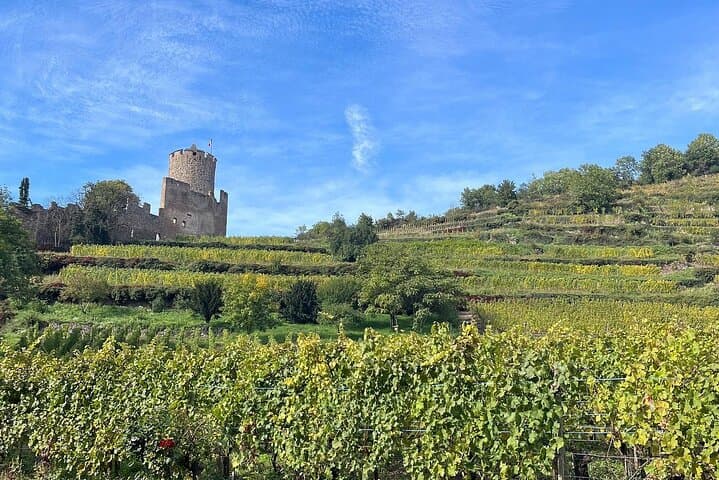Private Alsace and Black Forest Day Tour: Colmar, Kaysersberg & BLACKFORESTLINE Bridge photo 3