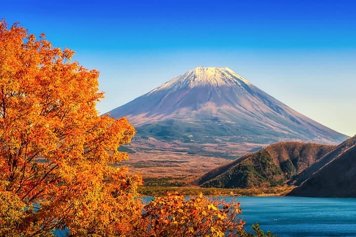 Photographing Mt. Fuji: Full-Day Lake Kawaguchi & Oshino Hakkai Scenic Tour from Tokyo photo 6