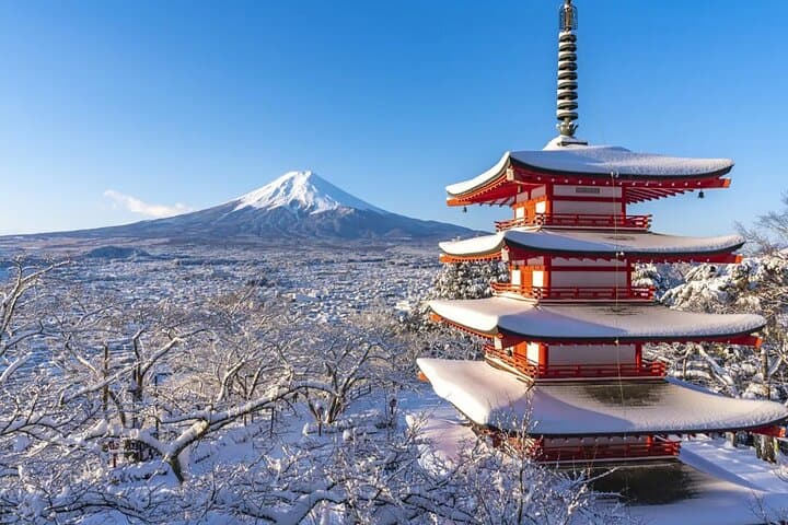 Photographing Mt. Fuji: Full-Day Lake Kawaguchi & Oshino Hakkai Scenic Tour from Tokyo