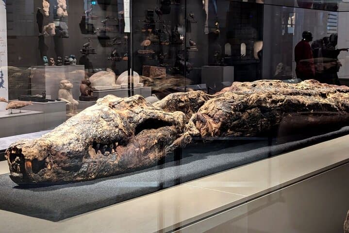 Hurghada to Giza: Grand Egyptian Museum, Pyramids & Sphinx Full-Day Tour photo 2