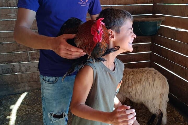 Cagliari Farm Visit: Pony Rides, Egg Collecting & Farm Life in Quartucciu photo 5