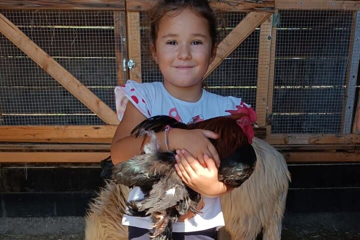 Cagliari Farm Visit: Pony Rides, Egg Collecting & Farm Life in Quartucciu photo 2