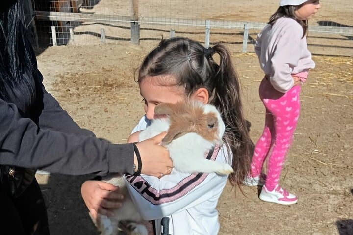 Cagliari Farm Visit: Pony Rides, Egg Collecting & Farm Life in Quartucciu photo 4