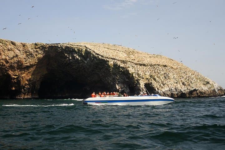 Day Trip: Paracas, Ballestas Islands & Huacachina Oasis from Lima photo 1