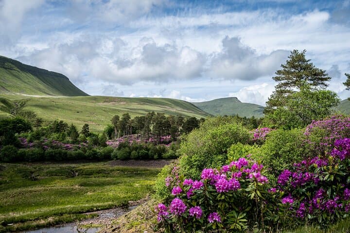 Castles and Mountains of Wales: Small‑Group Day Tour from Bristol photo 2