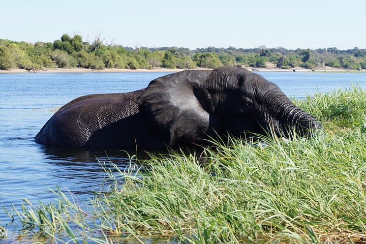 Luxury Car Rentals in Livingstone: Private Transfers & Safari Drivers photo 4