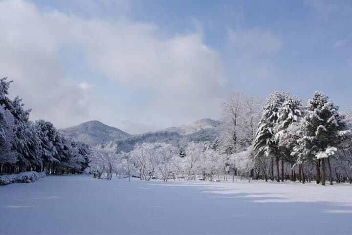 Nami Island, Petite France & Gangchon Rail Bike — One-Day Gapyeong Tour from Seoul photo 4