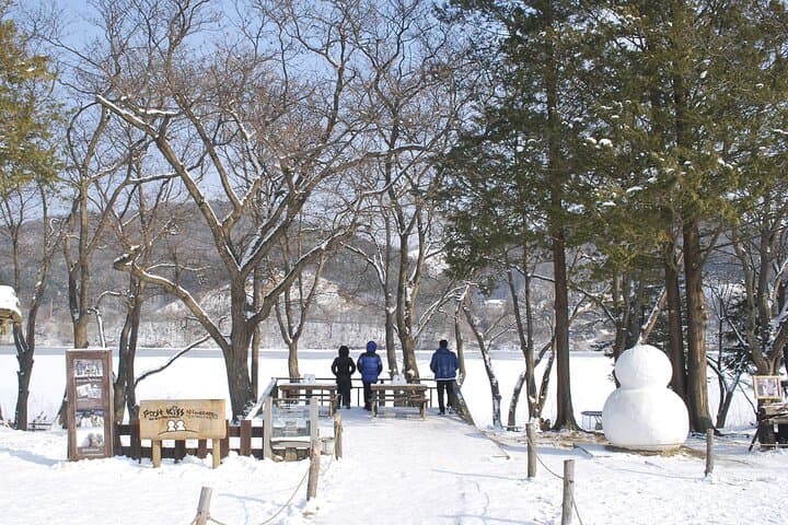 Nami Island, Petite France & Gangchon Rail Bike — One-Day Gapyeong Tour from Seoul photo 5