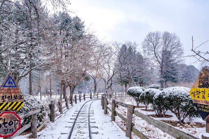 Nami Island, Petite France & Gangchon Rail Bike — One-Day Gapyeong Tour from Seoul photo 6