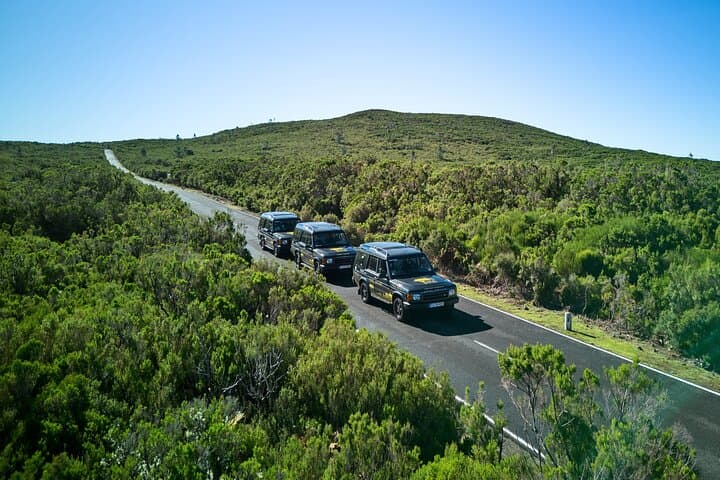 Madeira Private 4x4 Jeep Tour — Full-Day Custom Island Adventure