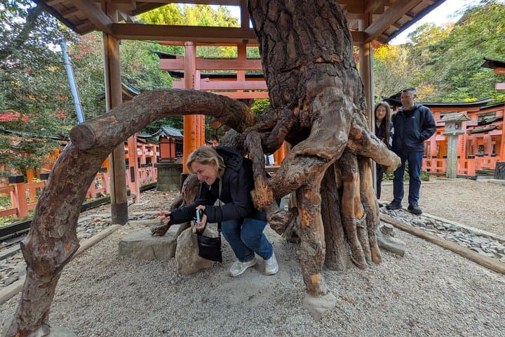 8‑Hour Private Kyoto Tour with Licensed Guide & Private Car — Nijo, Arashiyama, Kinkaku‑ji & Fushimi Inari photo 4