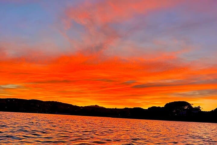Sunset Dolphin Sighting Cruise with Champagne Aperitif off Figarolo, Sardinia photo 2