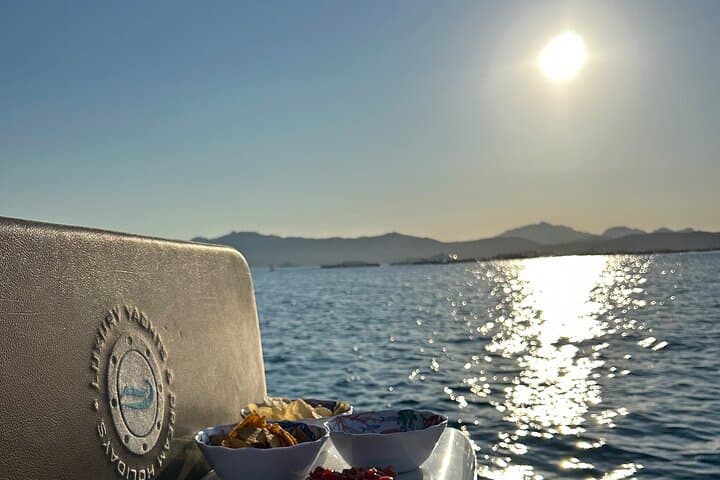 Sunset Dolphin Sighting Cruise with Champagne Aperitif off Figarolo, Sardinia photo 3