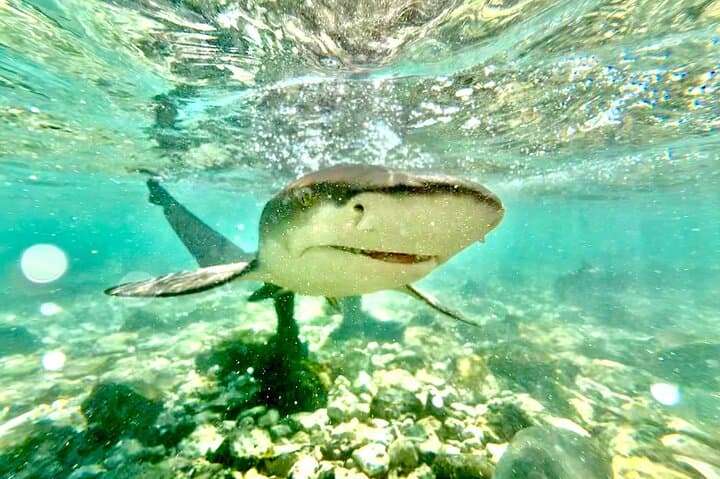 Discover Sal Island: Private Customized Island Tour from Santa Maria photo 6