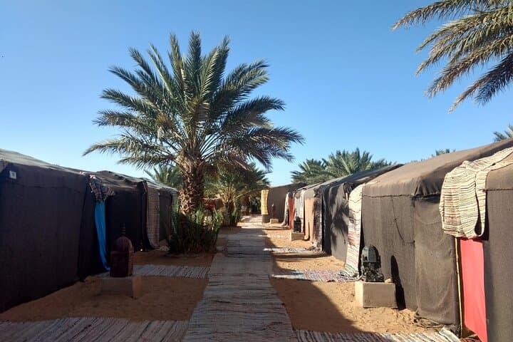 Two-Day Zagora Desert Overnight: Marrakech to Draa Valley Camel Camp photo 3