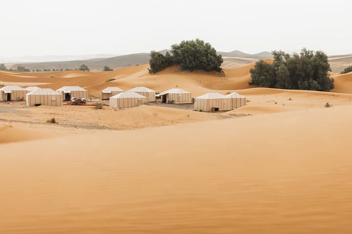 Two-Day Zagora Desert Overnight: Marrakech to Draa Valley Camel Camp photo 4