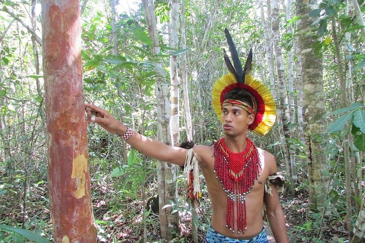 Porto Seguro Indigenous Reserve Visit — Jaqueira Pataxó Cultural Immersion photo 2