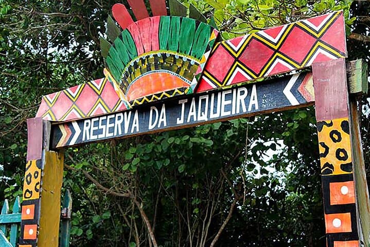 Porto Seguro Indigenous Reserve Visit — Jaqueira Pataxó Cultural Immersion photo 4