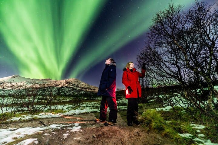 Tromsø Northern Lights Chase: Small-Group Aurora Tour to Finland