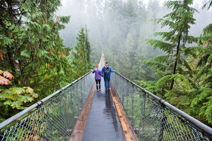 Private Vancouver Tour: Stanley Park, Capilano Suspension Bridge & Grouse Mountain photo 2