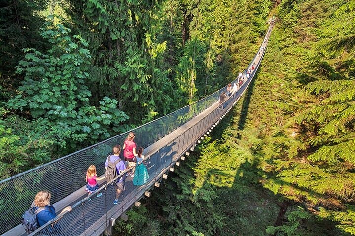 Private Vancouver Tour: Stanley Park, Capilano Suspension Bridge & Grouse Mountain photo 3