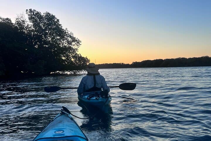 Twilight Mangrove Kayak Tour at Garden Island — Adelaide Dolphin Sanctuary Evening Paddle
