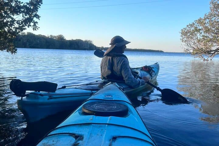 Twilight Mangrove Kayak Tour at Garden Island — Adelaide Dolphin Sanctuary Evening Paddle photo 3