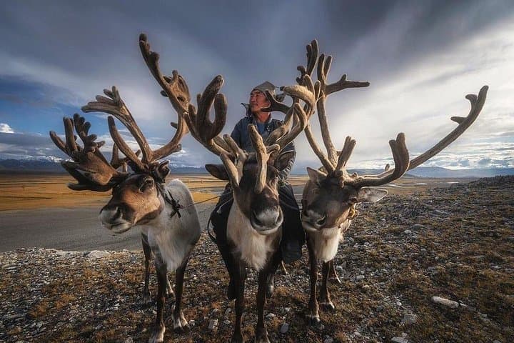Mongolia Reindeer Family Tour: Naadam Festival & Gobi Desert 16-Day Adventure
