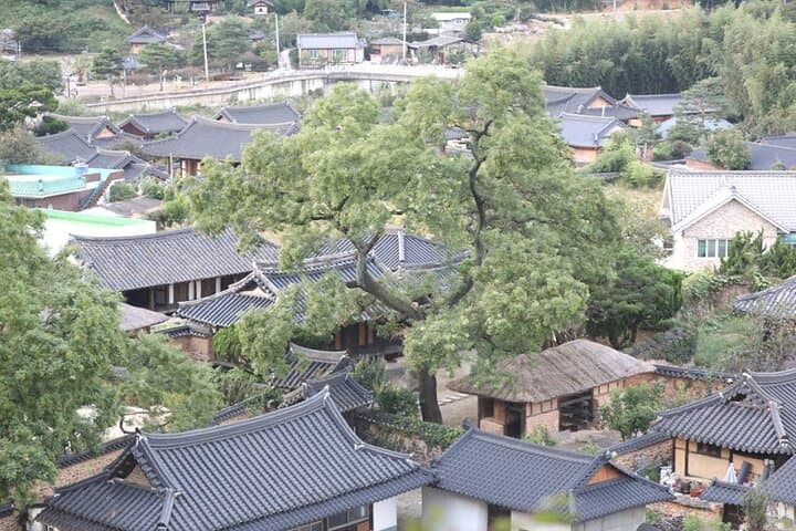 Sancheong Wellness Day: Cliff Hermitage, Traditional Medicine & Forest Bridge Walks photo 3