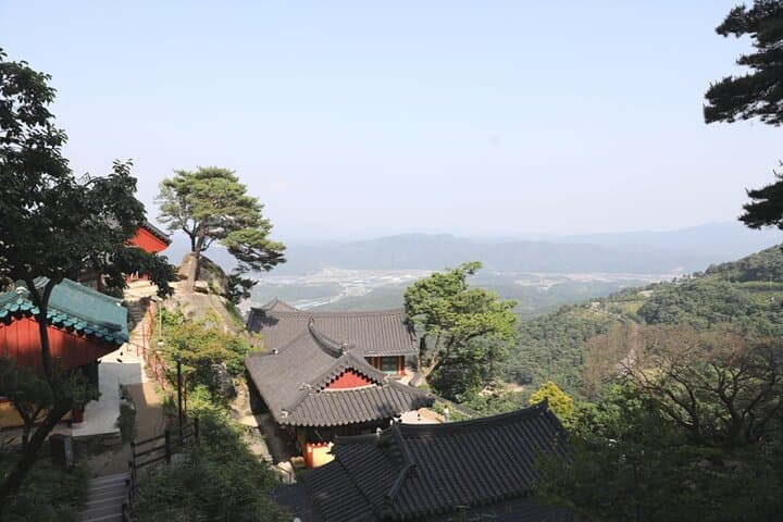 Sancheong Wellness Day: Cliff Hermitage, Traditional Medicine & Forest Bridge Walks photo 4