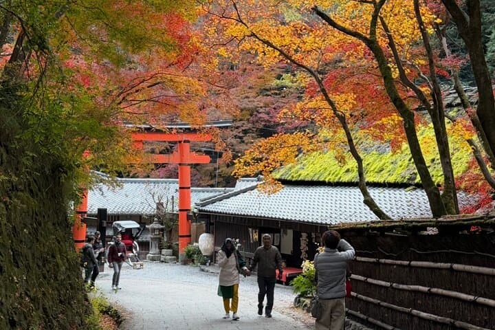 Discover Arashiyama: Kyoto Bamboo Grove & Hidden Temple Walking Tour photo 2
