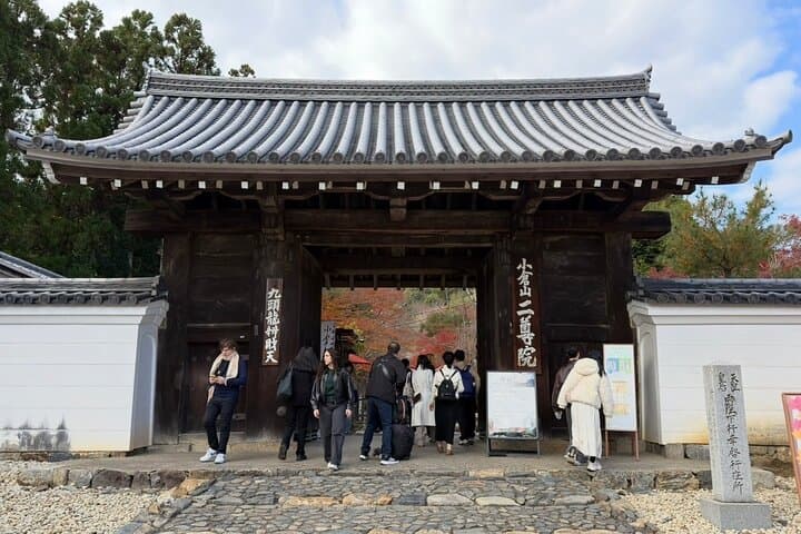 Discover Arashiyama: Kyoto Bamboo Grove & Hidden Temple Walking Tour photo 6
